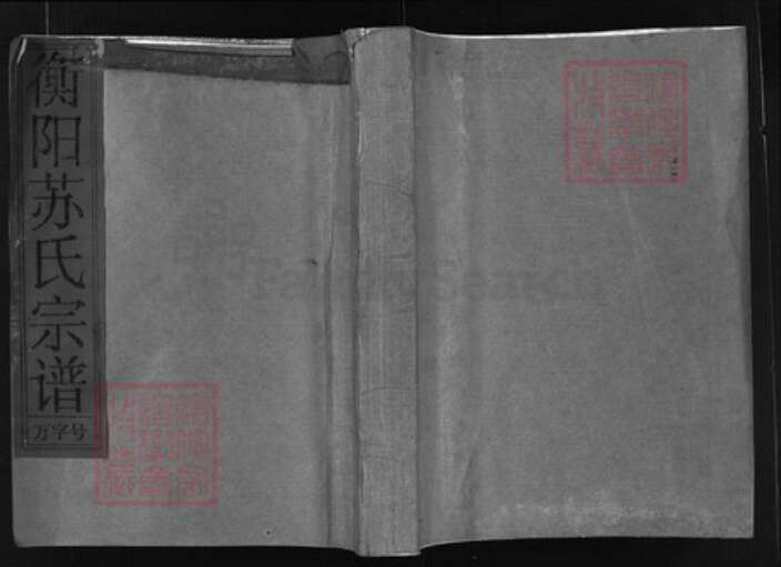 福建省泉州市安溪县苏氏族谱-衡阳苏氏宗谱 [8卷].pdf电子版缩略图