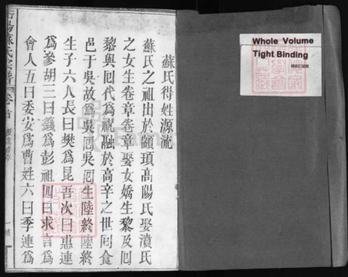 福建省泉州市安溪县苏氏族谱-衡阳苏氏宗谱 [8卷].pdf电子版预览图1