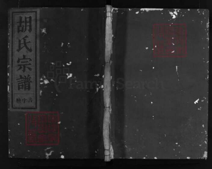 浙江省胡氏族谱-西湖胡氏宗谱 [4卷].pdf电子版缩略图