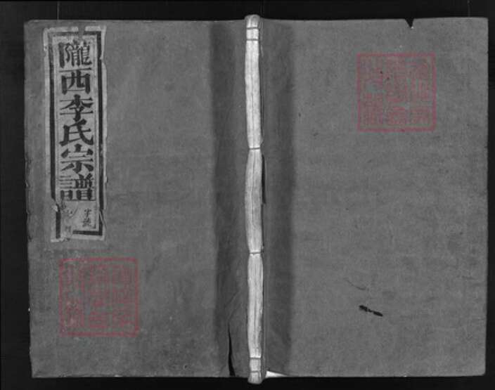 浙江省李氏族谱-陇西李氏宗谱(皋门李氏宗谱).pdf电子版缩略图