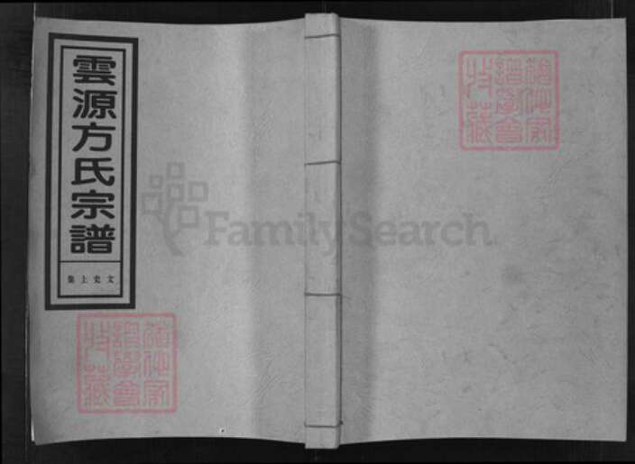 浙江省方氏族谱-云源方氏宗谱 [文史2卷,世系图1卷,行传18卷].pdf电子版缩略图