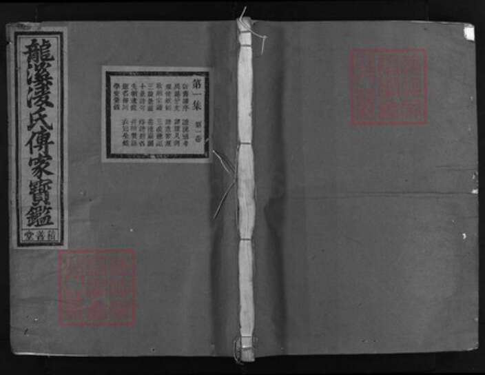 浙江省凌氏族谱-龙溪凌氏传家宝鉴 [11集,15卷].pdf电子版缩略图