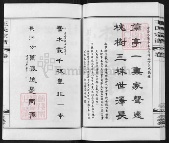 江苏省常州市武进县礼嘉镇王氏三槐堂族谱-中沙大蒲岸王氏宗谱.pdf电子版预览图4