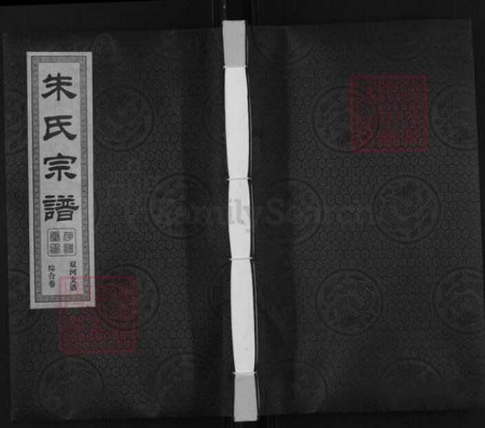 江苏省无锡市无锡朱氏存远堂族谱-朱氏宗谱.双河支谱.pdf电子版缩略图