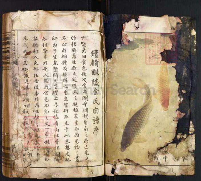 江苏省常州市天宁区余氏泗水堂族谱-毗陵余氏宗谱.pdf电子版预览图2