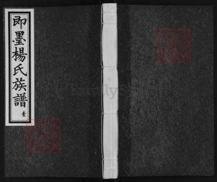 山东省青岛市即墨区杨氏务本堂族谱-即墨杨氏族谱.pdf电子版缩略图