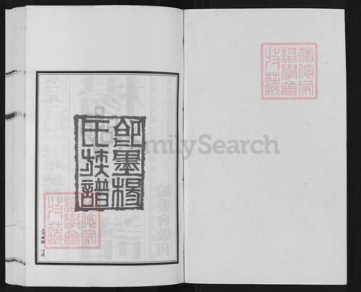 山东省青岛市即墨区杨氏务本堂族谱-即墨杨氏族谱.pdf电子版预览图1