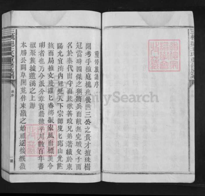 福建省龙岩市武平县武东乡王氏族谱-三槐王氏重修族谱.pdf电子版预览图4