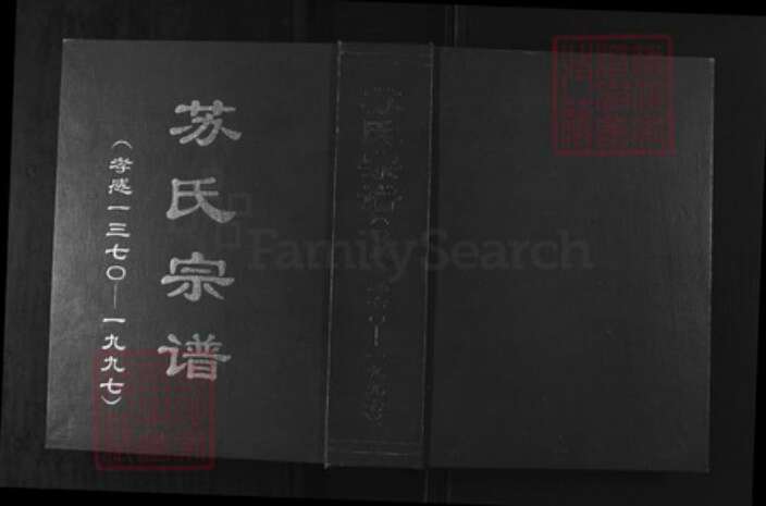 湖北省孝感市孝南区杨店镇苏氏族谱-苏氏宗谱.pdf电子版缩略图