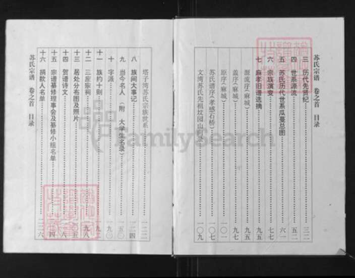 湖北省孝感市孝南区杨店镇苏氏族谱-苏氏宗谱.pdf电子版预览图2