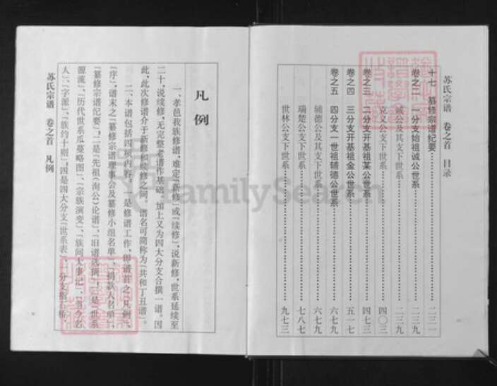 湖北省孝感市孝南区杨店镇苏氏族谱-苏氏宗谱.pdf电子版预览图3