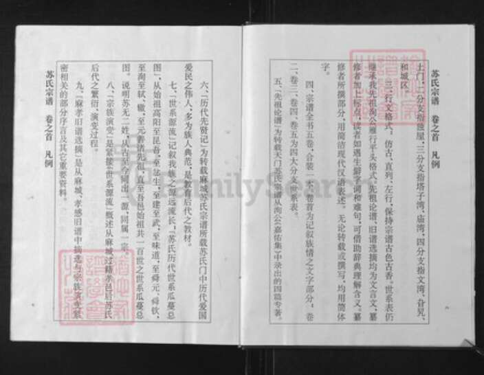 湖北省孝感市孝南区杨店镇苏氏族谱-苏氏宗谱.pdf电子版预览图4