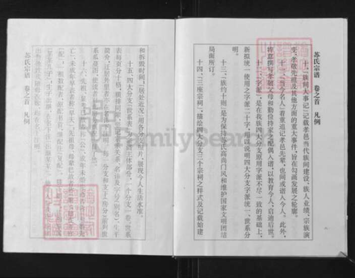 湖北省孝感市孝南区杨店镇苏氏族谱-苏氏宗谱.pdf电子版预览图5