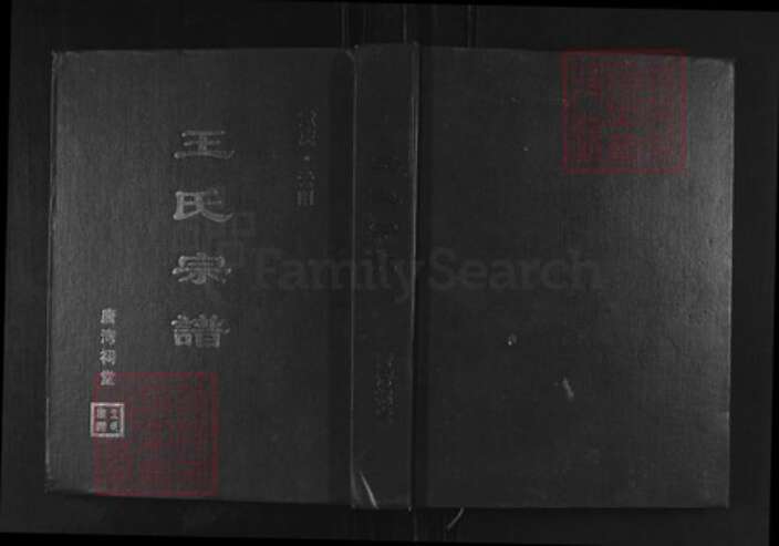 重庆市云阳县王氏湾祠堂族谱-王氏宗谱.pdf电子版缩略图