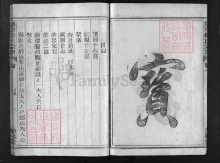 浙江省柳氏族谱-慈厚柳氏宗谱 [4卷].pdf电子版预览图2