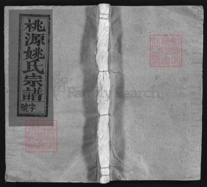 江西省上饶市姚氏族谱-桃源姚氏宗谱 [卷5, 卷首1].pdf电子版缩略图