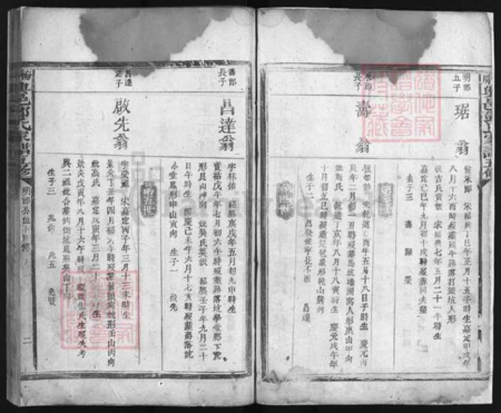 福建省龙岩市永定区江西省赣州市宁都县邓氏族谱-梅川兴邑邓氏家谱 [不分卷].pdf电子版预览图2