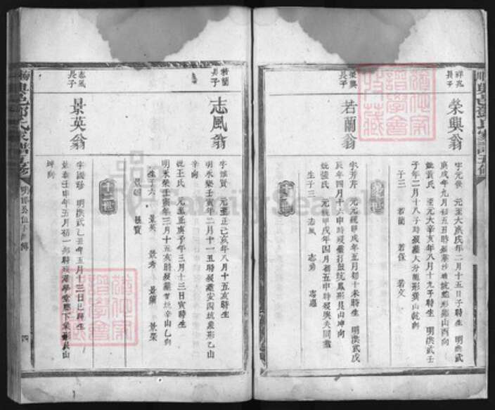 福建省龙岩市永定区江西省赣州市宁都县邓氏族谱-梅川兴邑邓氏家谱 [不分卷].pdf电子版预览图4