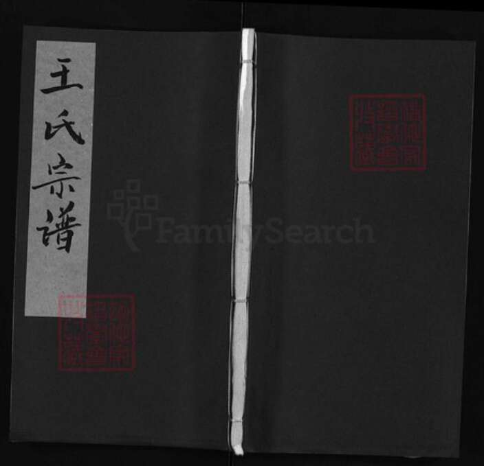 湖北省宜昌市枝江市王氏族谱-王氏宗谱 [6卷].pdf电子版缩略图