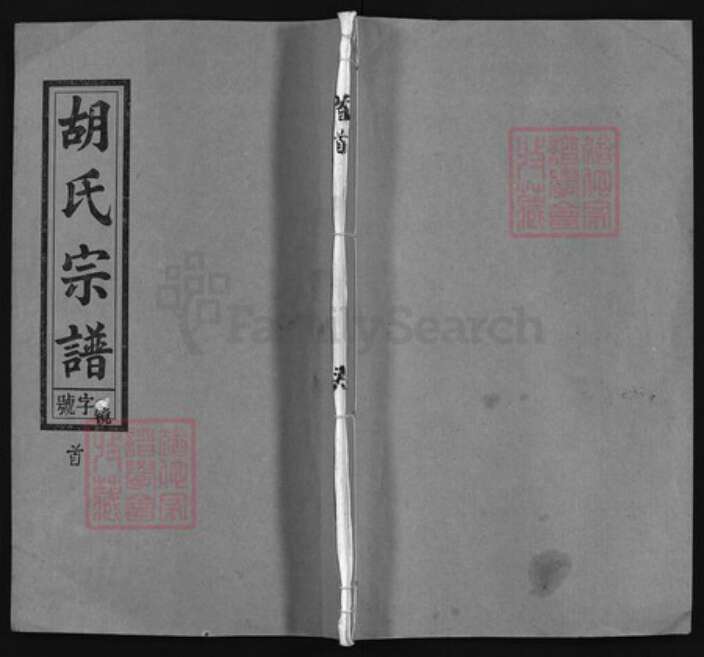 安徽省安庆市怀宁县胡氏族谱-胡氏宗谱 [20卷, 首末各1卷].pdf电子版缩略图