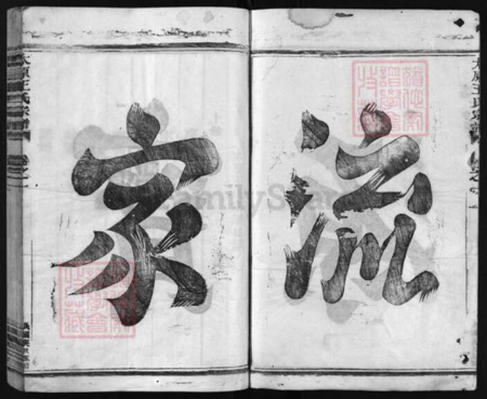 浙江省王氏族谱-太原王氏宗谱 [2卷].pdf电子版预览图2