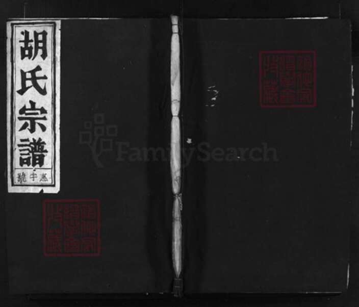 浙江省胡氏族谱-庙山胡氏宗谱 [4卷].pdf电子版缩略图