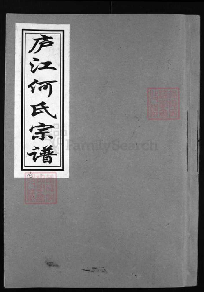 浙江省何氏族谱-庐江何氏宗谱 [4卷].pdf电子版缩略图