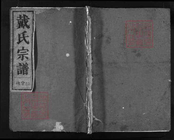 浙江省戴氏族谱-戴氏宗谱 [6卷].pdf电子版缩略图