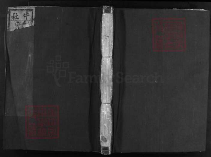 浙江省陈氏族谱-兰江菖湖陈氏宗谱 [世系8卷,行传4卷,首1卷].pdf电子版缩略图