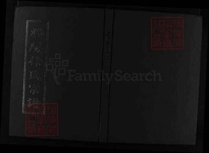 浙江省徐氏族谱-登胜徐氏宗谱 [15卷].pdf电子版缩略图