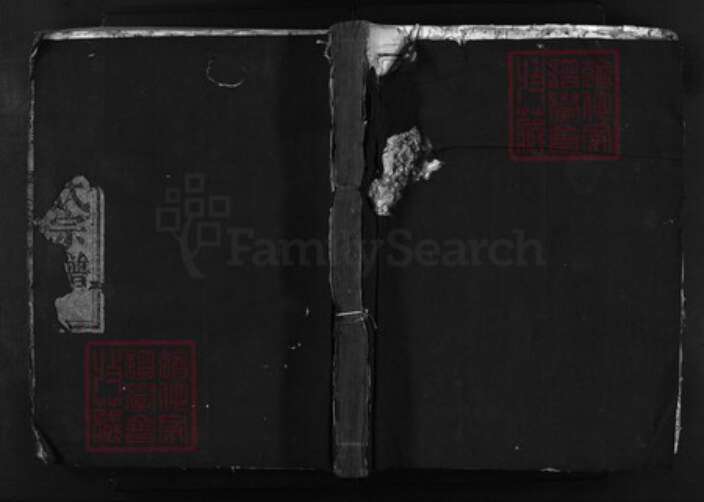 浙江省胡氏族谱-登胜胡氏宗谱 [3卷].pdf电子版缩略图