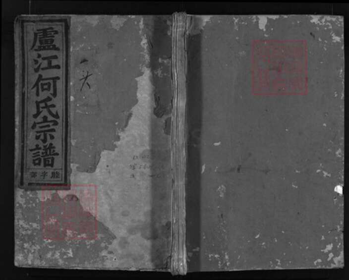 浙江省何氏族谱-卢江何氏宗谱 [4卷].pdf电子版缩略图