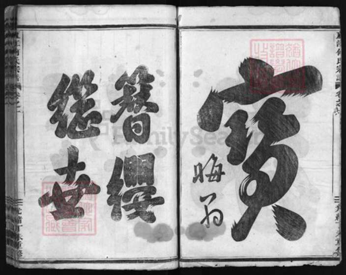 浙江省何氏族谱-卢江何氏宗谱 [4卷].pdf电子版预览图2