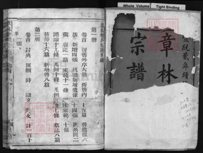 浙江省徐氏族谱-章林徐氏宗谱 [31卷,首1卷].pdf电子版预览图1