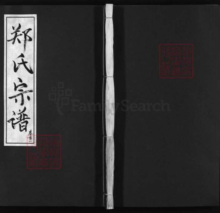 湖北省黄冈市郑氏族谱-郑氏宗谱 [残卷].pdf电子版缩略图