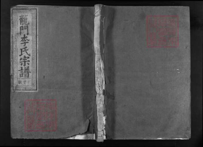 浙江省李氏族谱-龙门李氏宗谱 [3卷,含首1卷,世系4卷,含首1卷,行传4卷,含首1卷].pdf电子版缩略图