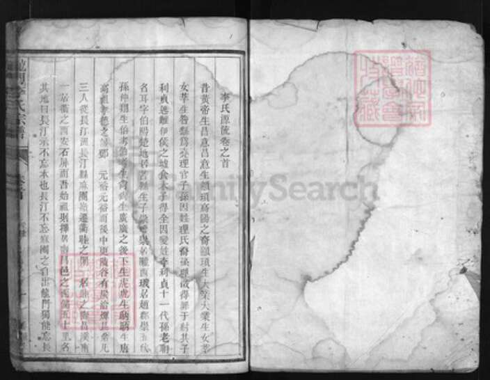 浙江省李氏族谱-龙门李氏宗谱 [残卷].pdf电子版预览图1