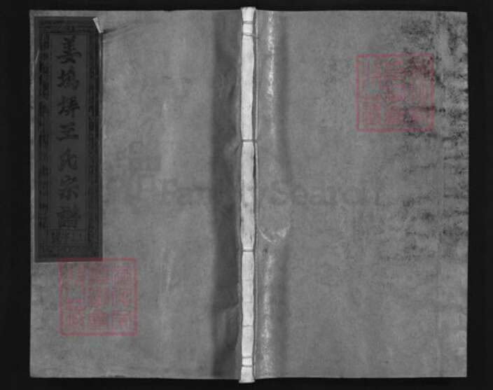 江西省上饶市王氏族谱-姜坞𡋱王氏宗谱 [5卷].pdf电子版缩略图