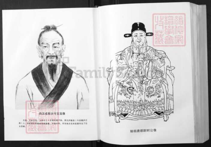 湖北省文氏族谱-湖北文氏通谱.pdf电子版预览图5