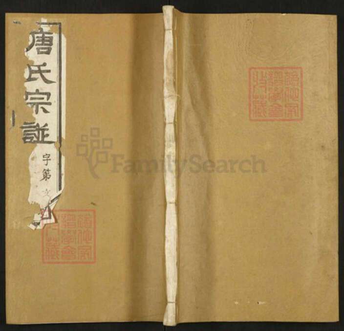 江苏省常州市武进县唐氏慎修堂族谱-唐氏宗谱.pdf电子版缩略图