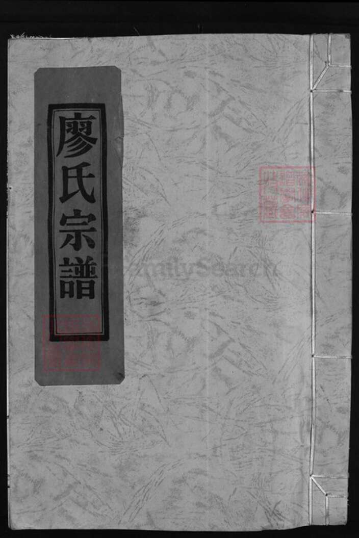 浙江省温州市廖氏族谱-武威郡廖氏宗谱 [不分卷].pdf电子版缩略图