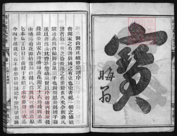 浙江省蒋氏族谱-洞山蒋氏宗谱.pdf电子版预览图2