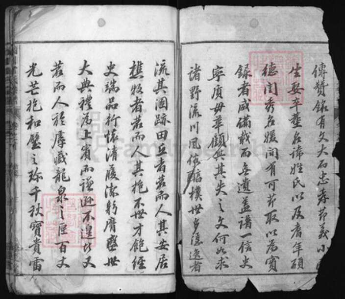 浙江省雷氏族谱-流川雷氏宗谱 [7卷, 首末各1卷].pdf电子版预览图2