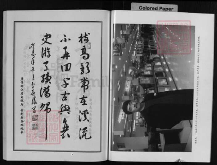 浙江省金华市浦江县金氏族谱-浦阳金氏宗谱 [4卷].pdf电子版预览图4