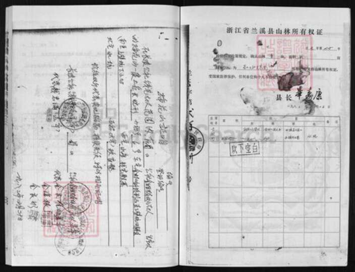 浙江省金华市浦江县金氏族谱-浦阳金氏宗谱 [6卷].pdf电子版预览图3