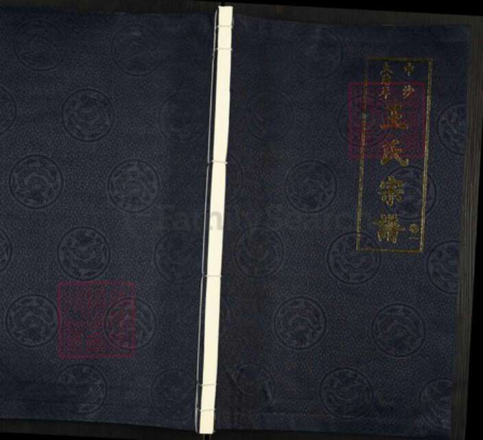 江苏省常州市武进县礼嘉镇王氏三槐堂族谱-中沙大蒲岸王氏宗谱.pdf电子版缩略图