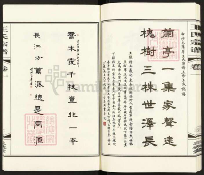 江苏省常州市武进县礼嘉镇王氏三槐堂族谱-中沙大蒲岸王氏宗谱.pdf电子版预览图4