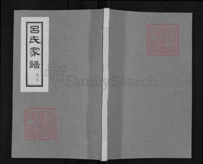 山东省滨州市邹平市长山镇山东省滨州市邹平市长山镇吕氏族谱-吕氏家谱.pdf电子版缩略图