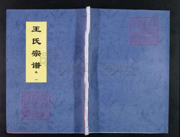 安徽省合肥市肥东县店端口镇王氏三槐堂族谱-王氏宗谱.pdf电子版缩略图