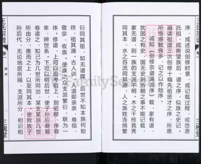 安徽省合肥市肥东县店端口镇王氏三槐堂族谱-王氏宗谱.pdf电子版预览图3